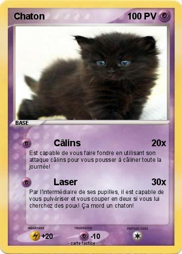 Pokemon Chaton
