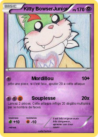 Pokemon Kitty BowserJunior