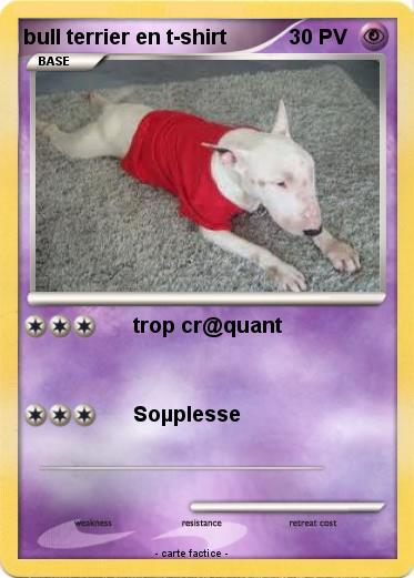 Pokemon bull terrier en t-shirt