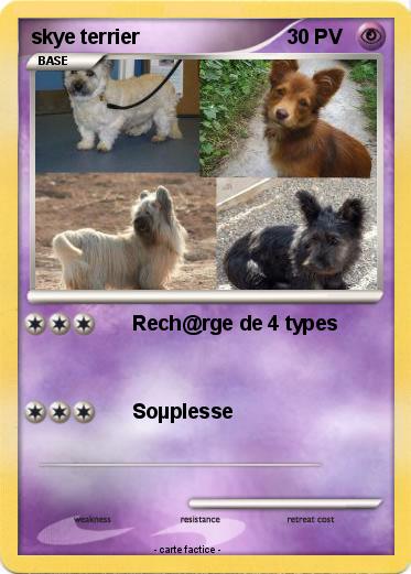 Pokemon skye terrier