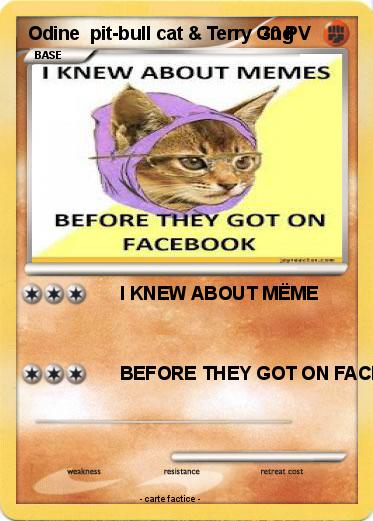 Pokemon Odine  pit-bull cat & Terry Gng