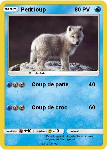 Pokemon Petit loup