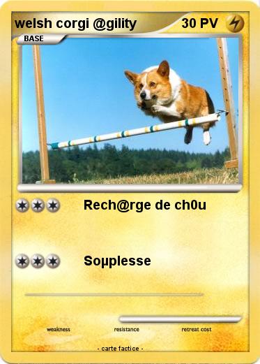 Pokemon welsh corgi @gility