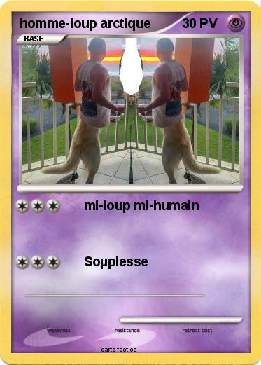Pokemon homme-loup arctique