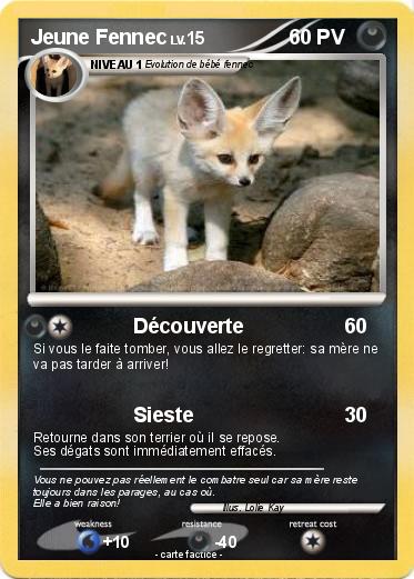 Pokemon Jeune Fennec