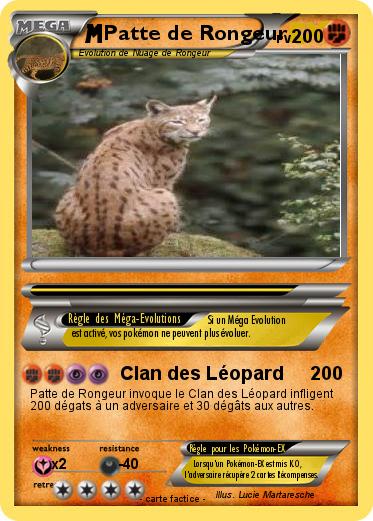 Pokemon Patte de Rongeur