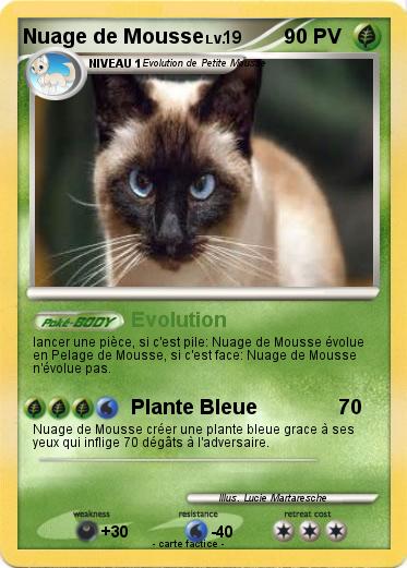 Pokemon Nuage de Mousse