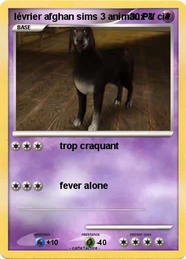 Pokemon lévrier afghan sims 3 animaux & cie