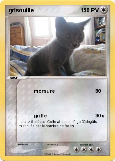 Pokemon grisouille