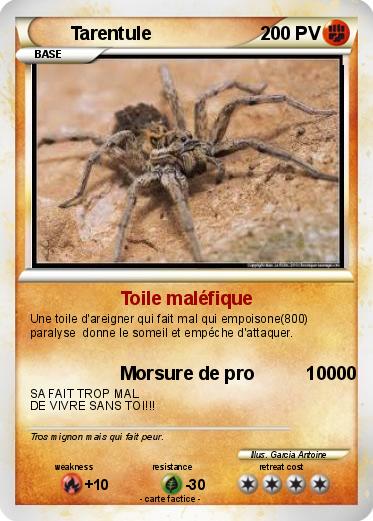 Pokemon Tarentule