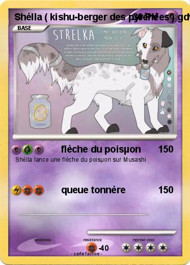 Pokemon Shélla ( kishu-berger des pyrénées ) gdw