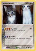 pokemon cat