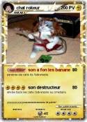 chat rokeur chat rokeur