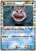 Shark-Cat