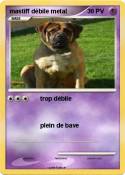 mastiff débile