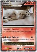 Kitty Kitty