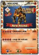 NEW HOND
