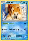 Akita Inu