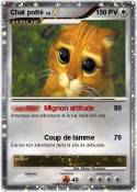Chat potté