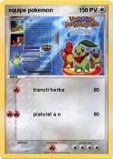 equipe pokemon