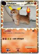 Pikaflame