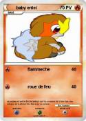 baby entei