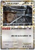 chat mr propre