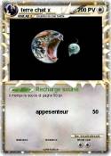 terre chat x