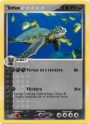 Tortue Tortue