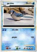 gai bleu