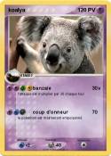 koalya