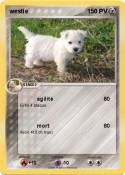 westie