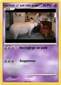 cochon ,c' est s0n pote cochon ,c' est