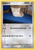 Chaton 8