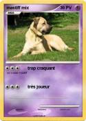 mastiff mix