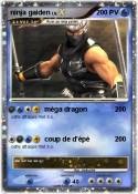 ninja gaiden