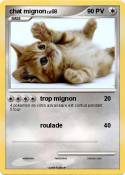 chat mignon