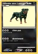 rottweiler sims