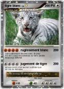 tigre blanc
