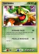TORTERRA
