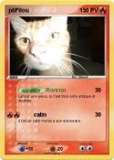 ptiFilou