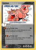 cochon cochon