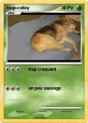 loup-colley
