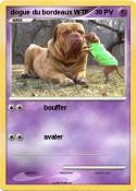 dogue du bordeaux WTF dogue du