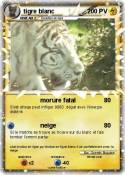 tigre blanc