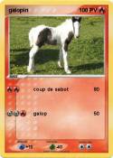 galopin