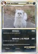 chat terrifiant