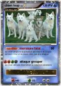 chien loup