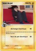 boss du pet
