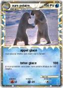 ours polaire.